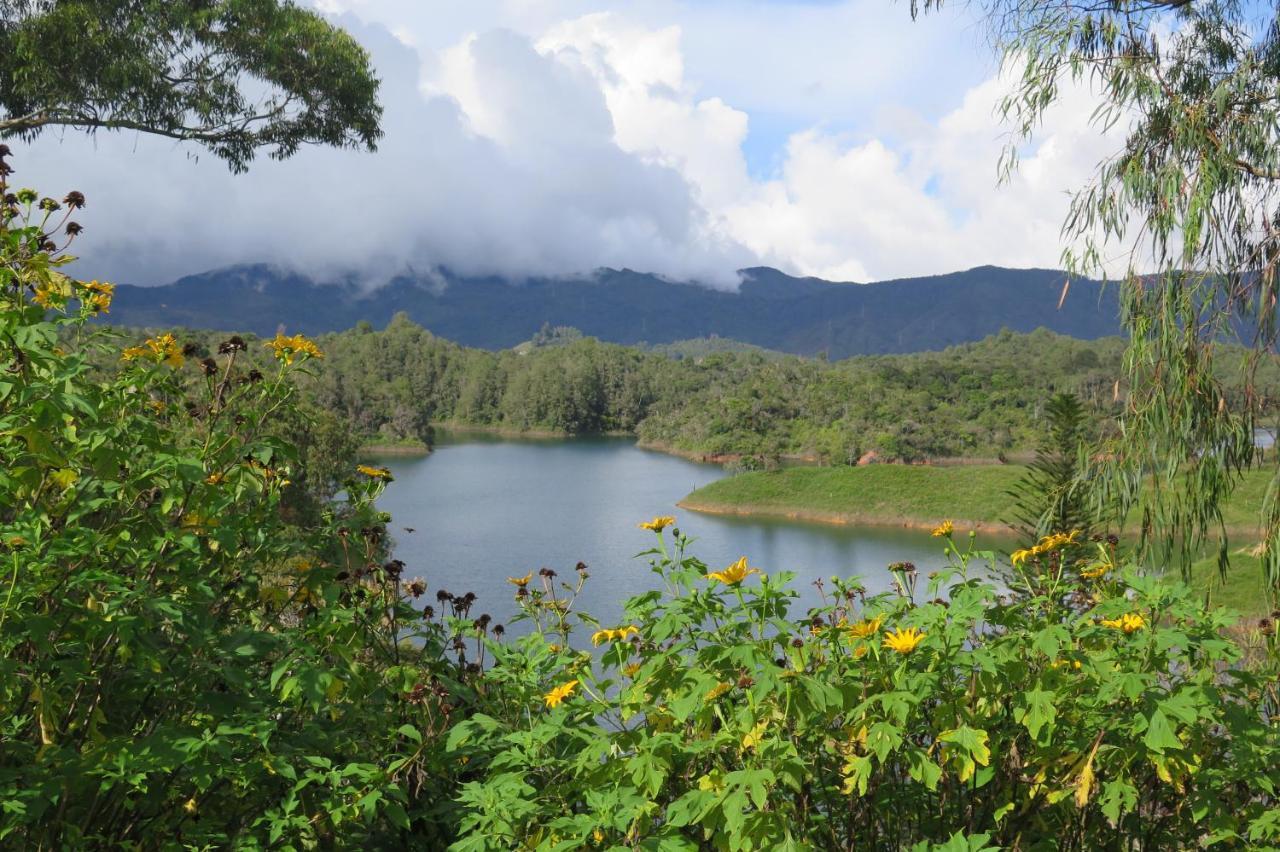 Ecolodge Bahia Del Penon กัวตาเป ภายนอก รูปภาพ