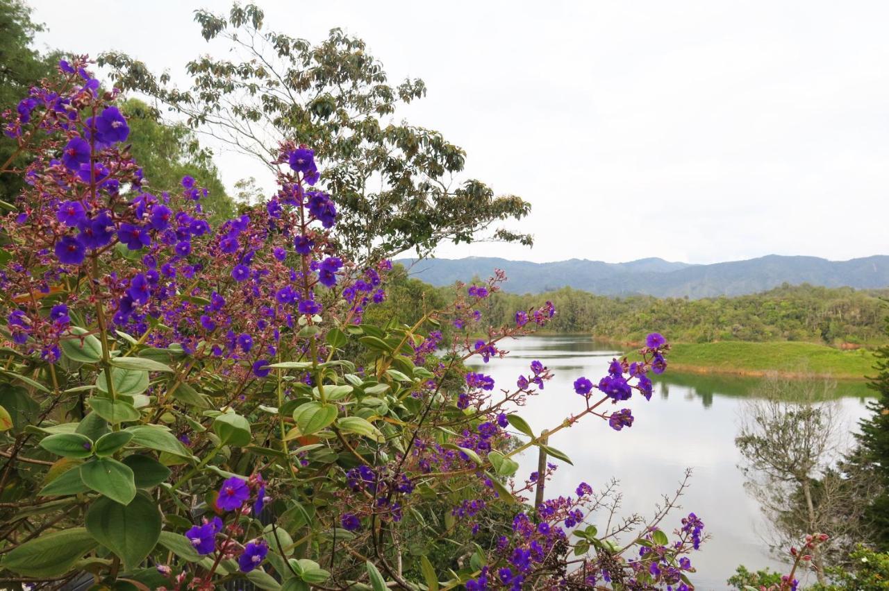 Ecolodge Bahia Del Penon กัวตาเป ภายนอก รูปภาพ