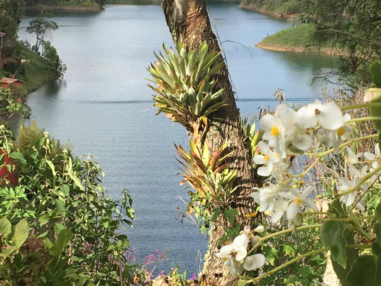Ecolodge Bahia Del Penon กัวตาเป ภายนอก รูปภาพ