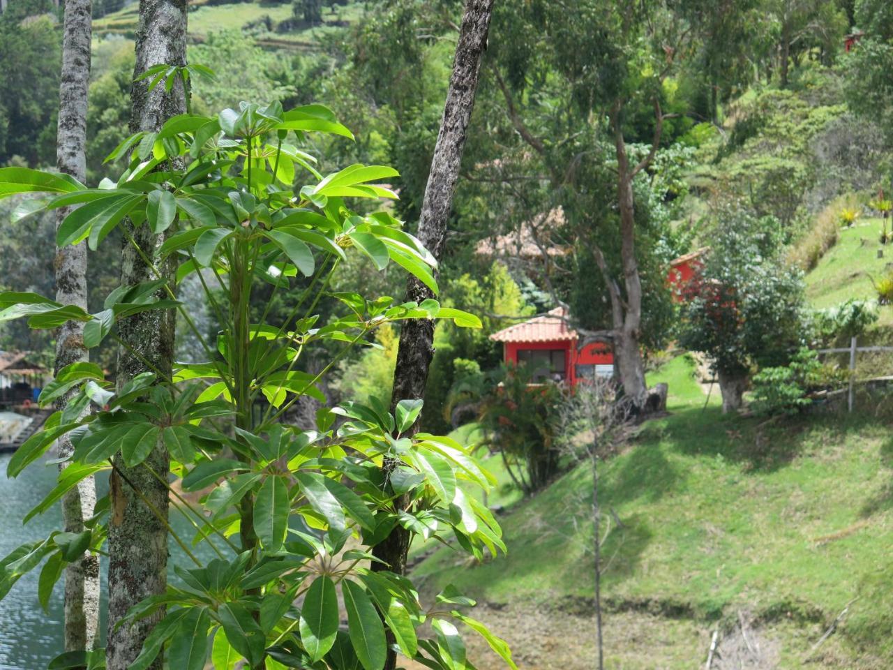 Ecolodge Bahia Del Penon กัวตาเป ภายนอก รูปภาพ