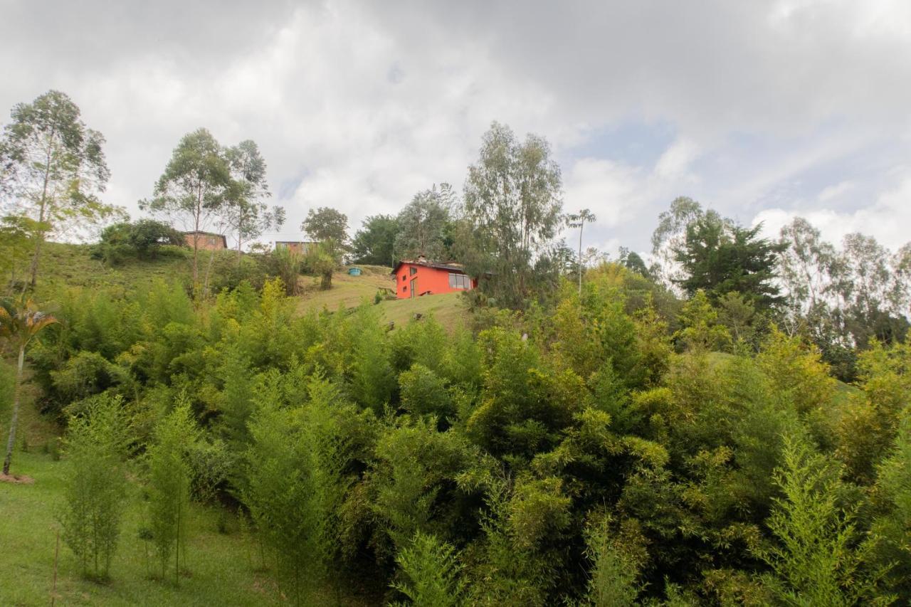 Ecolodge Bahia Del Penon กัวตาเป ภายนอก รูปภาพ